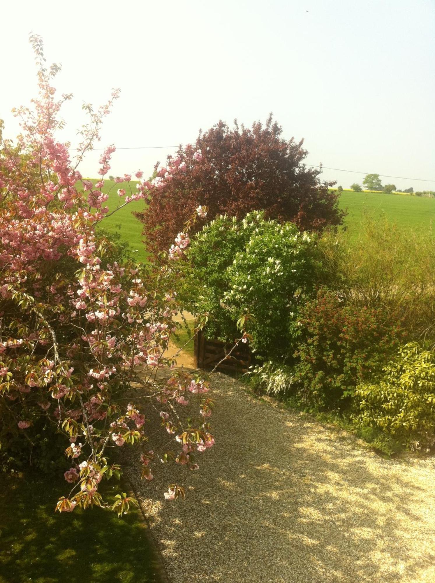 Whitchurch Farm Guesthouse Alderminster Eksteriør bilde